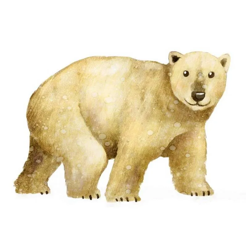 Ilustración de oso