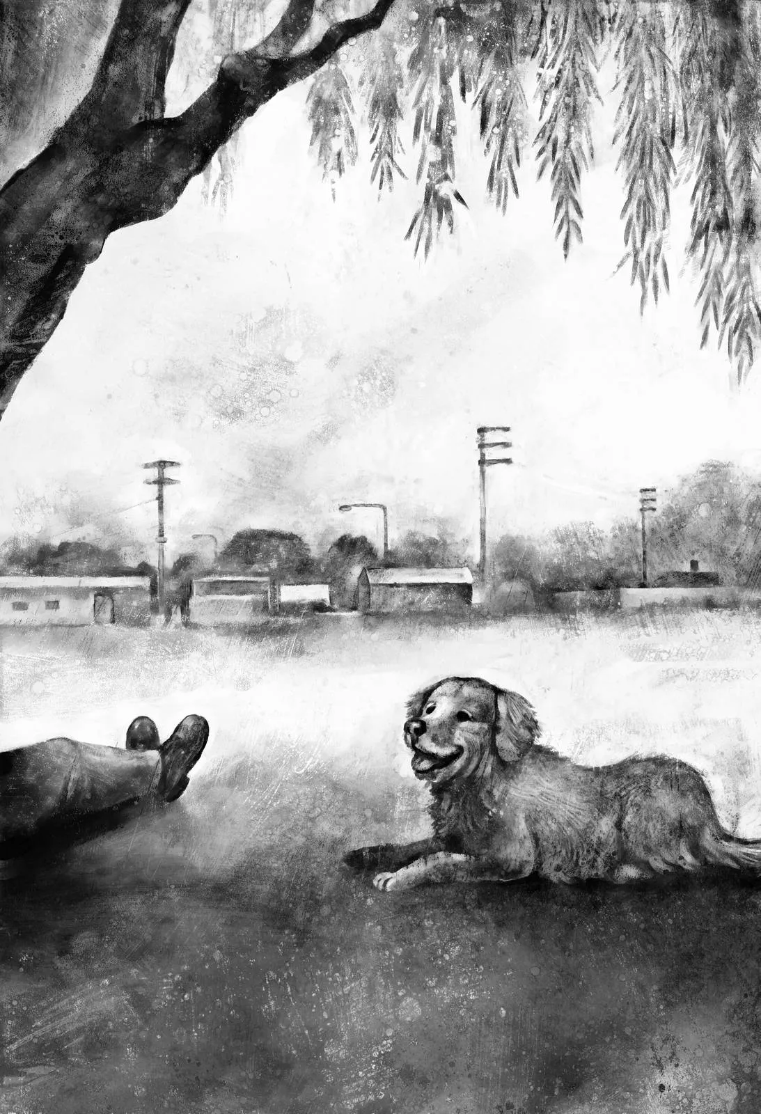Ilustración de vueltas negras